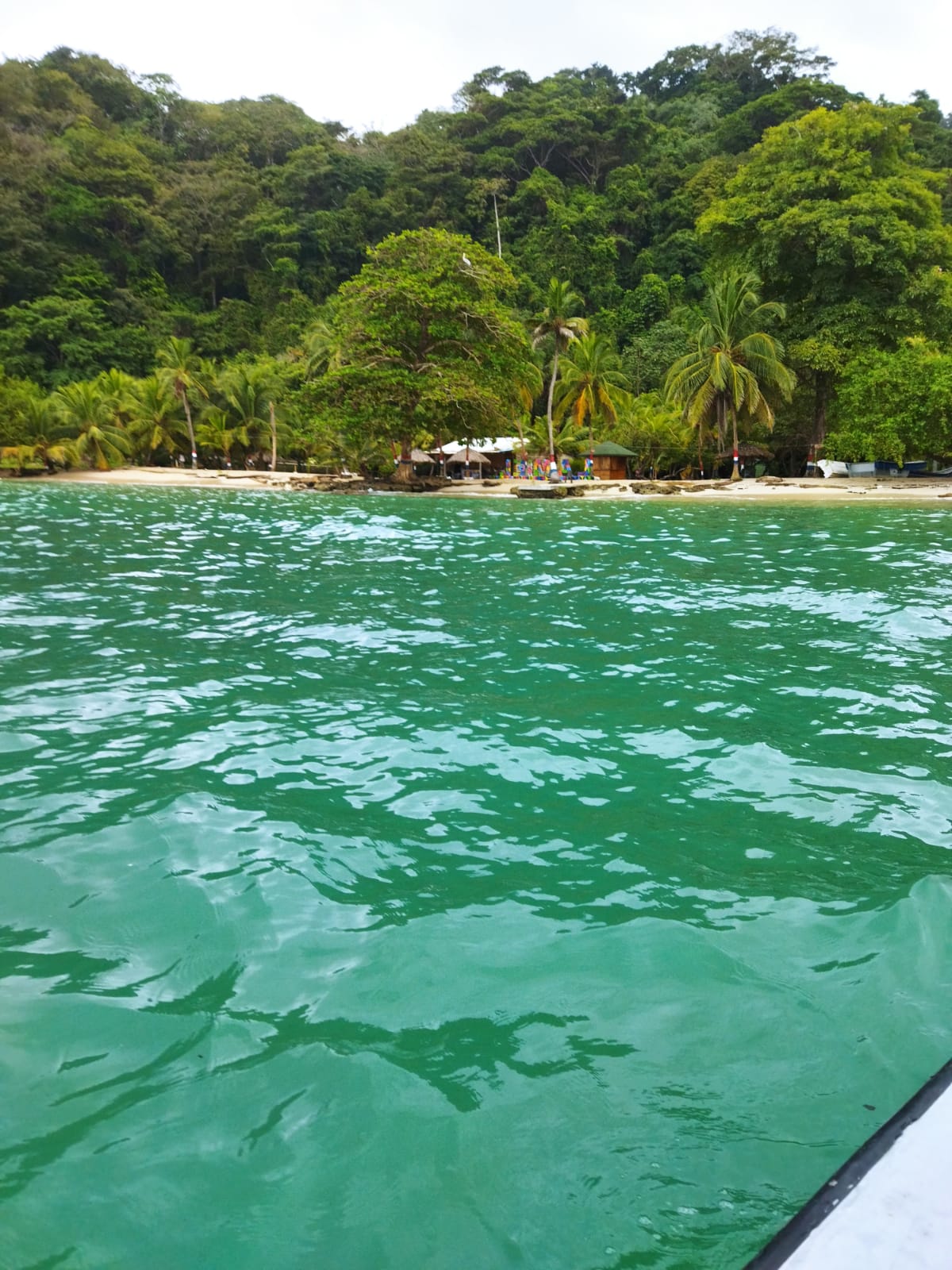 Playa la miel en Panamá, exótica por su naturaleza, gastronomía y su playa de agua turquesa