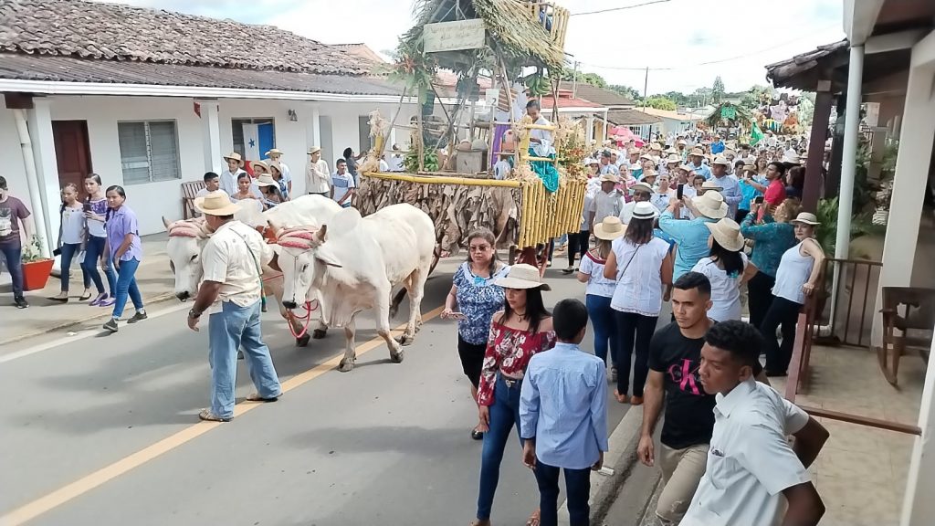 100% de ocupación hotelera registró el Festival del Toro Suelto, en Pedasí￼