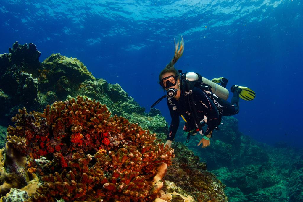 Concurso de Experiencias Innovadoras de Turismo Comunitario de Panamá impulsa el turismo sostenible y el desarrollo local