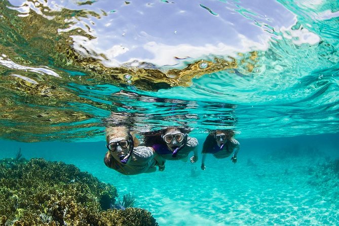 Buceo en Panamá para sumergirte en el país