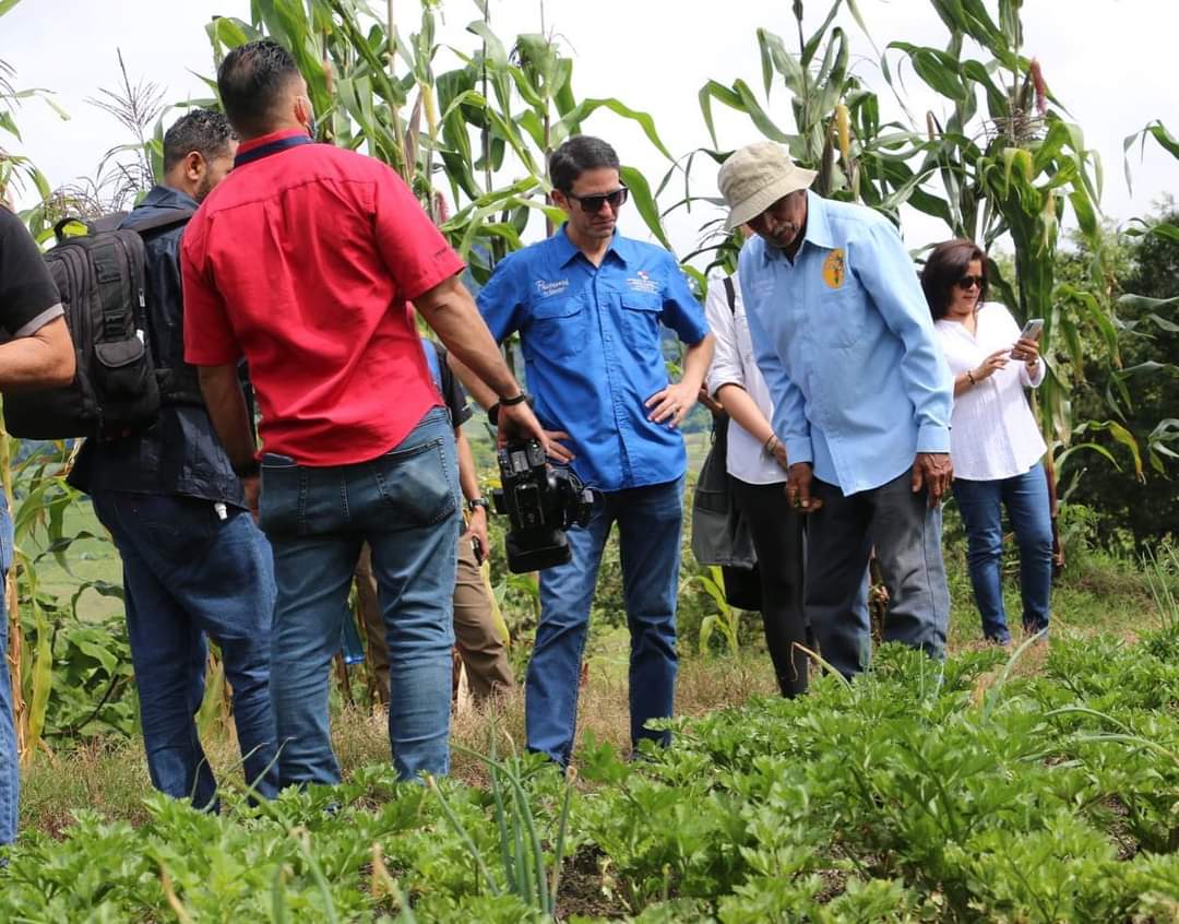 Visitan autoridades de Panamá cafetales en tierras altas 