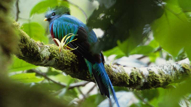 avistamiento-de-aves