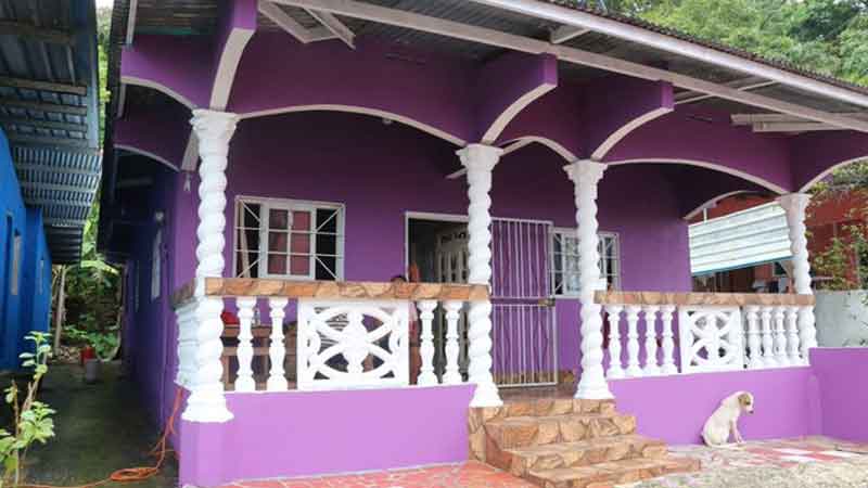 portobelo-de-colores