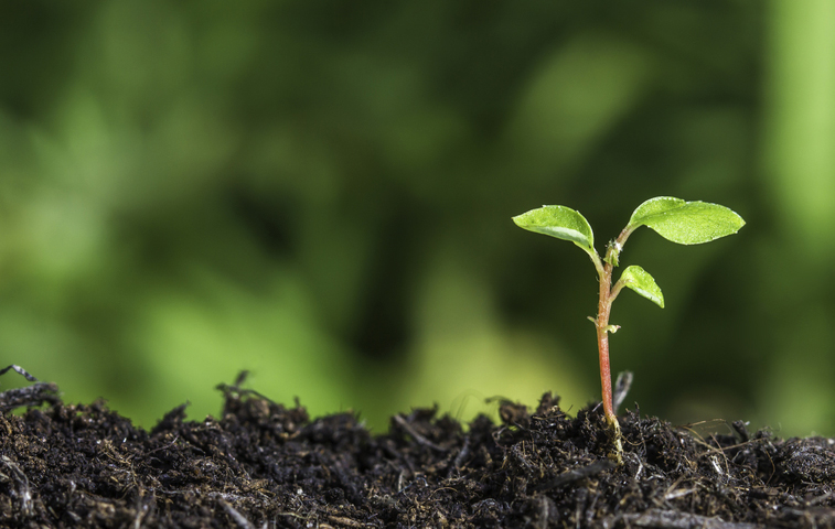 El índice ambiental para Panamá
