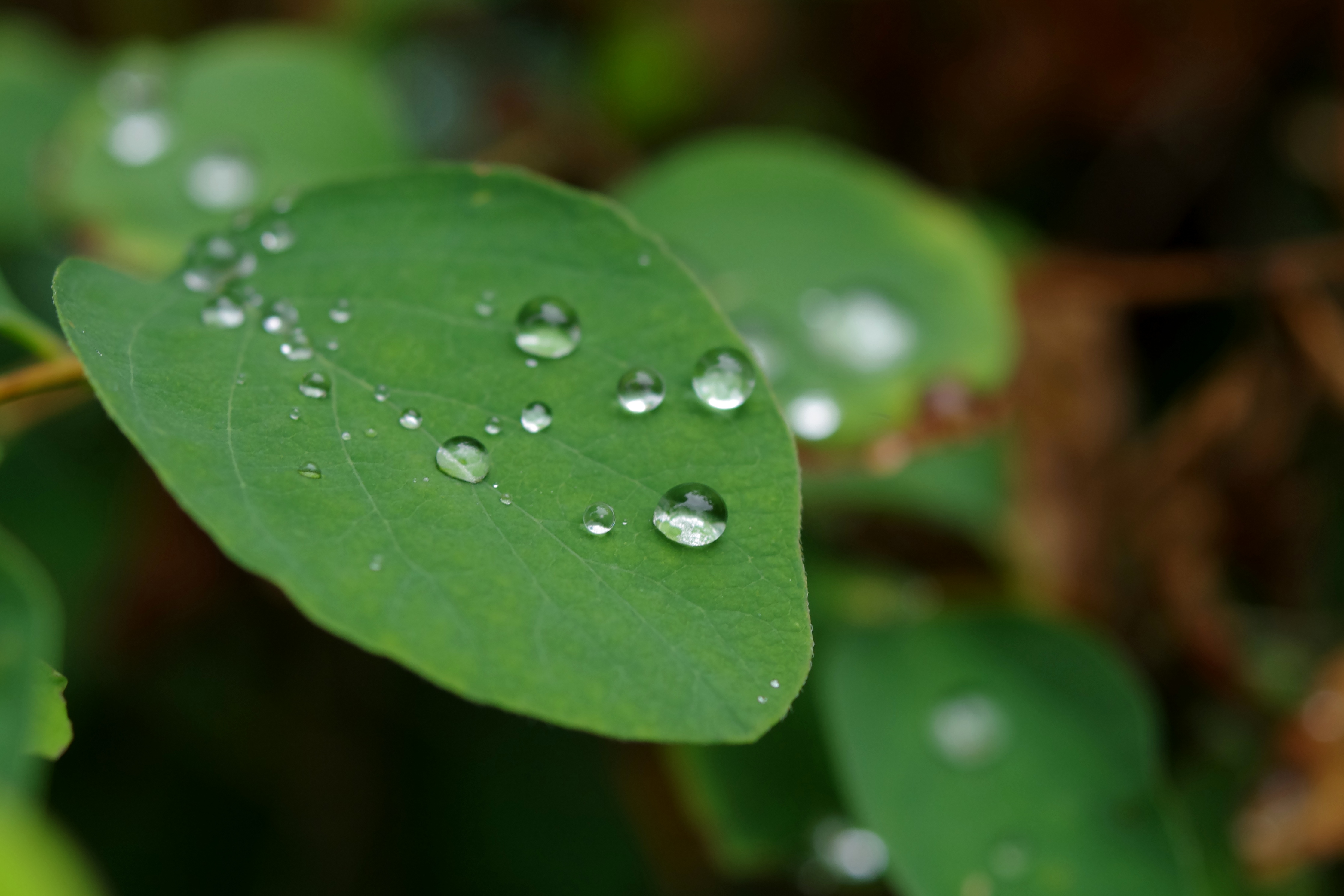Científicos analizan adaptación hídrica a cambio climático en AL y Caribe