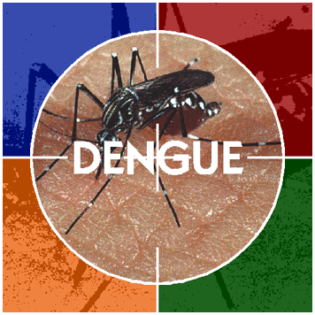 Cómo prevenir el dengue