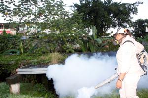 Minsa confirma la séptima víctima por dengue del 2014