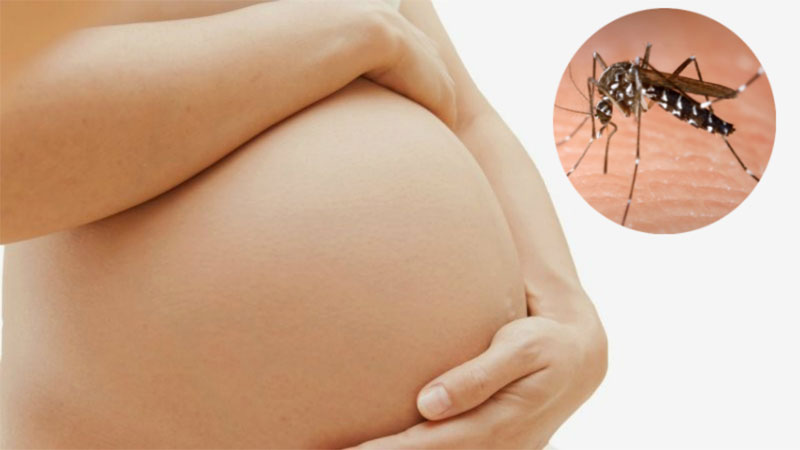 "Viajar embarazada a un lugar con zika es jugar con fuego", alertan expertos