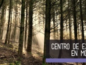 Mesoamérica creará centro de excelencia virtual de monitoreo forestal