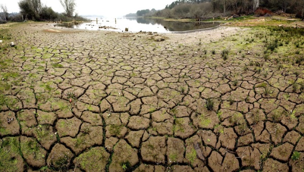 2015: entre los años más secos