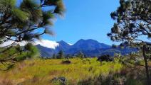 Volcán-Barú-MiAmbinete.