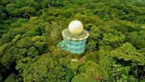 avistamiento-de-aves-panama