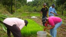 Primera granja con tecnología israelí