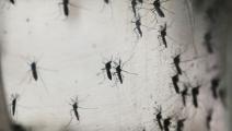 Casos del virus Zika continúan aumentando