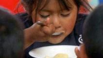 Panamá participa en sesiones de la FAO 