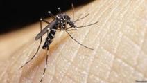 Panamá suma 24 casos de virus zika en mes y medio