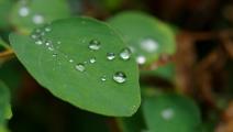Científicos analizan adaptación hídrica a cambio climático en AL y Caribe