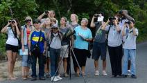 Panamá primer lugar de Centroamérica en avistamiento de aves