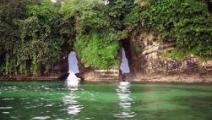 Las maravillas marinas y silvestres del Archipiélago de Bocas del Toro