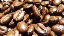 Subastan 46 lotes de café especial panameño