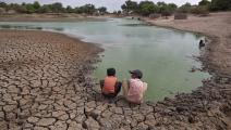 El cambio climático origina nuevas enfermedades