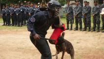 Tácticas urbanas y manejo de canes herramientas contra el crimen organizado