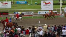 Una yegua y 10 caballos disputarán el Clásico del Caribe