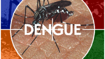 Cómo prevenir el dengue