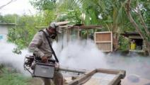 Fortalecen acciones para evitar propagación del dengue ante constantes lluvias