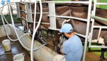 Exportadores potenciales serán capacitados