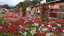 Feria de las Flores y del Café tuvo un impacto de 12 millones de dólares 