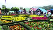 Feria de las Flores y el Café espera superar los 150 mil visitantes   