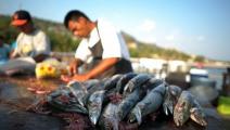 Acuerdo para el impulso de la pesca responsable