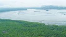 Protegen por ley humedales de Bahía de Panamá