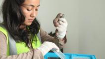 Minera Panamá financia investigación para desarrollar antídoto para mordeduras de serpientes