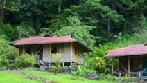 Promueven turismo de naturaleza en Medellín