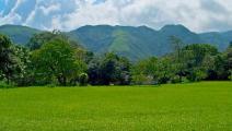 El Valle de Antón: La India Dormida