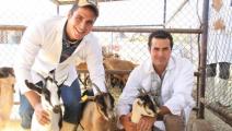 Veterinarios panameños se capacitan en nuevas tecnologías